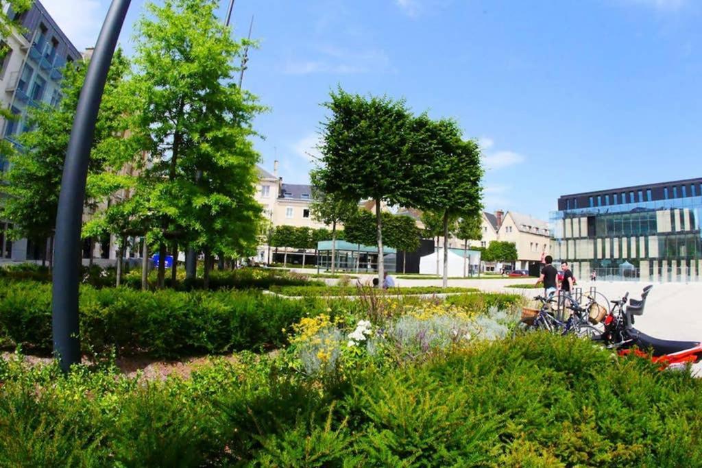 Chartres Coeur De Ville, Beau 2 Pieces Chaleureux Et Lumineux,Parking Et Wifi ! Экстерьер фото